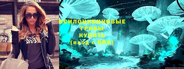 mdpv Волоколамск
