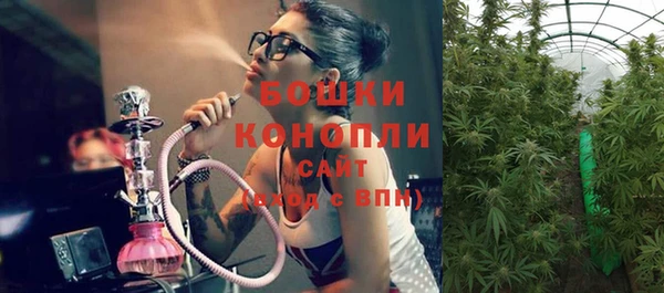 mdpv Волоколамск