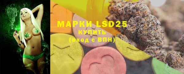 mdpv Волоколамск